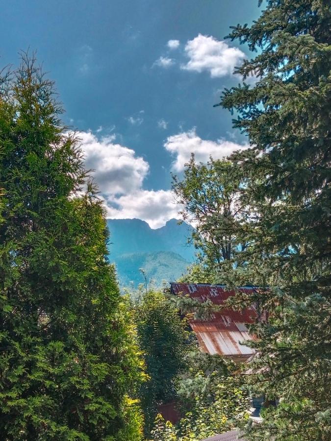 Wynajem Pokoi Goscinnych Zakopane Eksteriør bilde