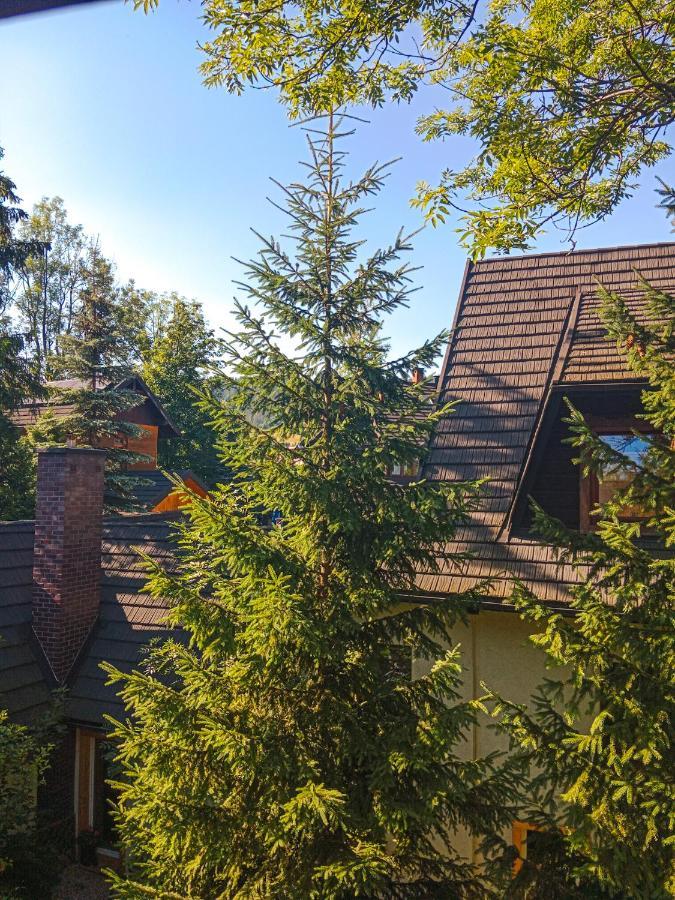 Wynajem Pokoi Goscinnych Zakopane Eksteriør bilde